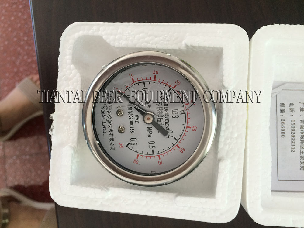 <b>Pressure gauge with back connection</b>